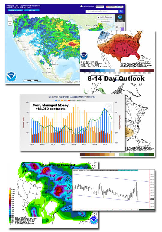 Email Updates Standard Grain